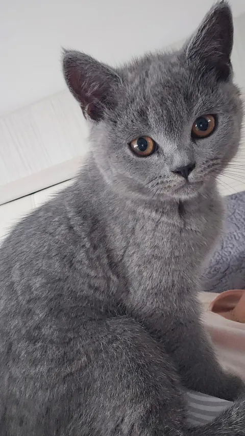 My cat wishes you a nice weekend.