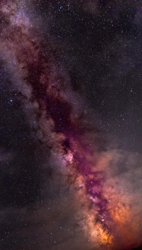 The Milky Way