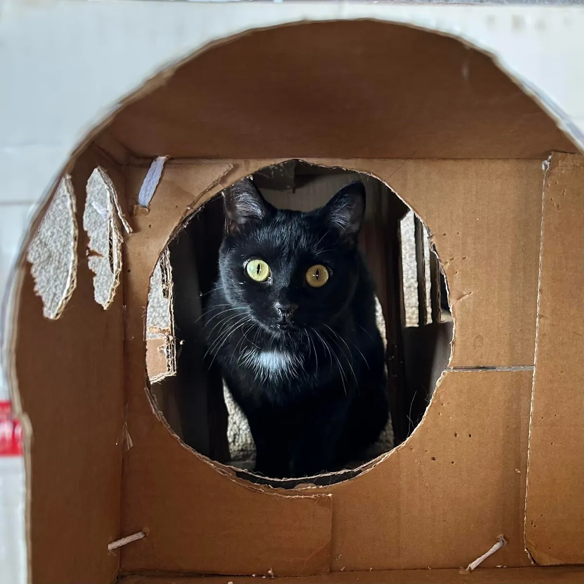 Stella is not the perfect child contrary to popular belief. Don’t let her looks fool you. Lol.