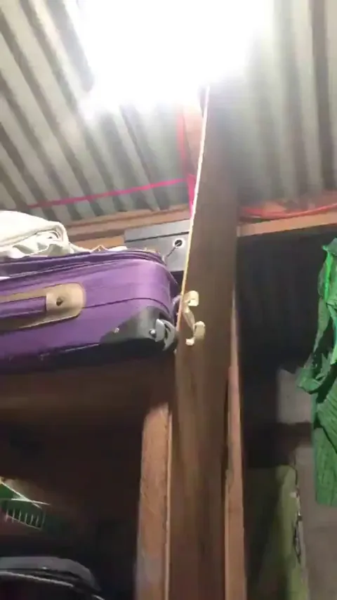 No Rodent Left Behind!