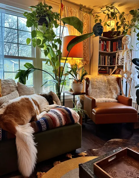 Getting in the last naps of the year