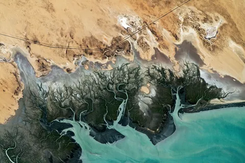 The wetlands of Adair Bay, Mexico, as seen from the International Space Station
