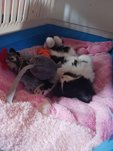 She might have a favourite sleeping position