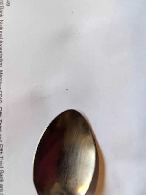 The smallest tick I have ever seen - was on my 3 year old's hand. A spoon for reference.