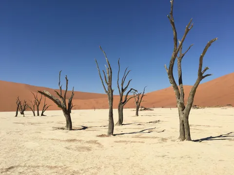 Those colours. No edits. Deadvlei in Namibia.