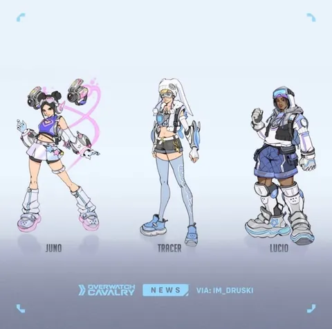 survey skins look amazing