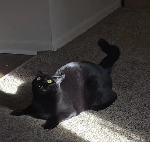 We just came back from a weekend away, and she sure had a lot to say about it