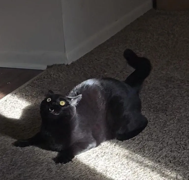 We just came back from a weekend away, and she sure had a lot to say about it