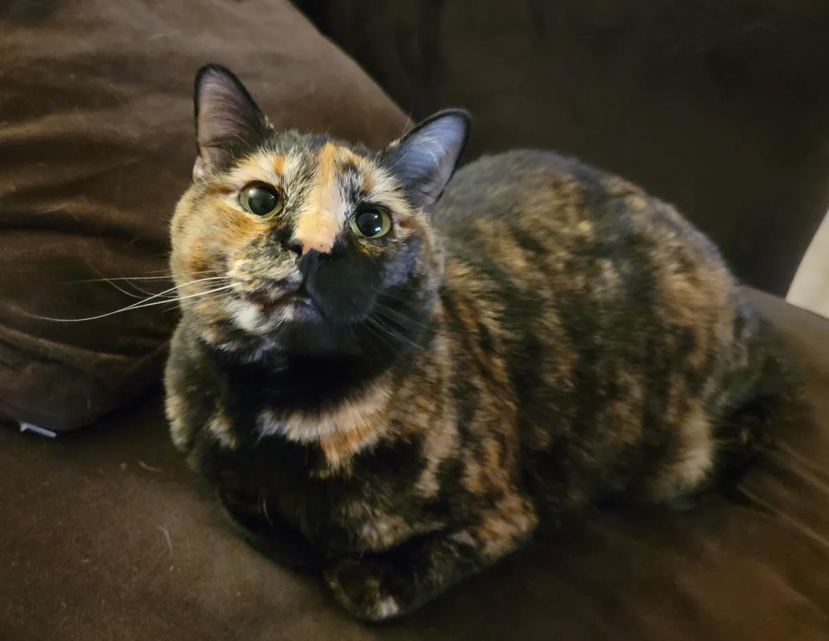 I'm a little biased, but I think she's adorable...