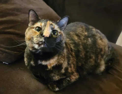 I'm a little biased, but I think she's adorable...