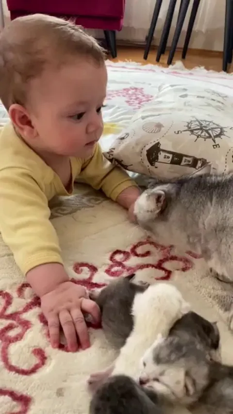 This one is also mine