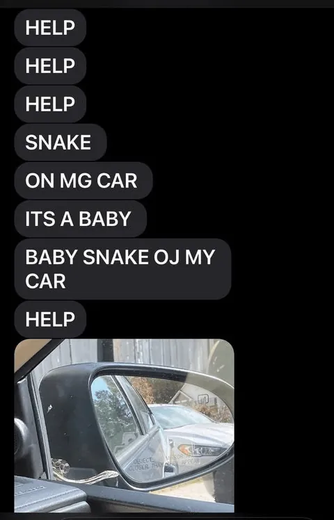 Nothing like being in a very important work meeting giving a presentation to your boss' boss and getting spammed by your kid with emergency snake alerts.