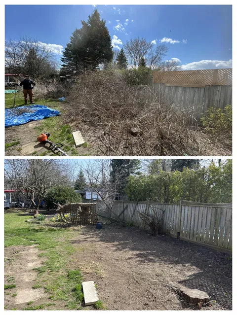 Before/After of a property we cleaned up today