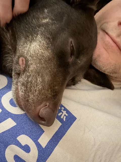 Having a dog doze on your chest is one of life’s simple and best pleasures