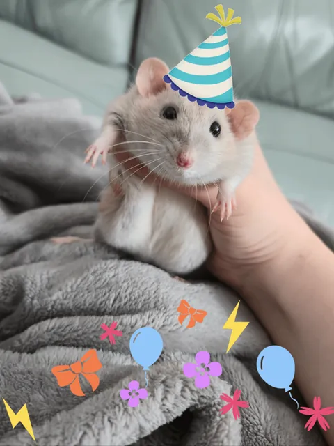 Doby is 2 years old today!!!!