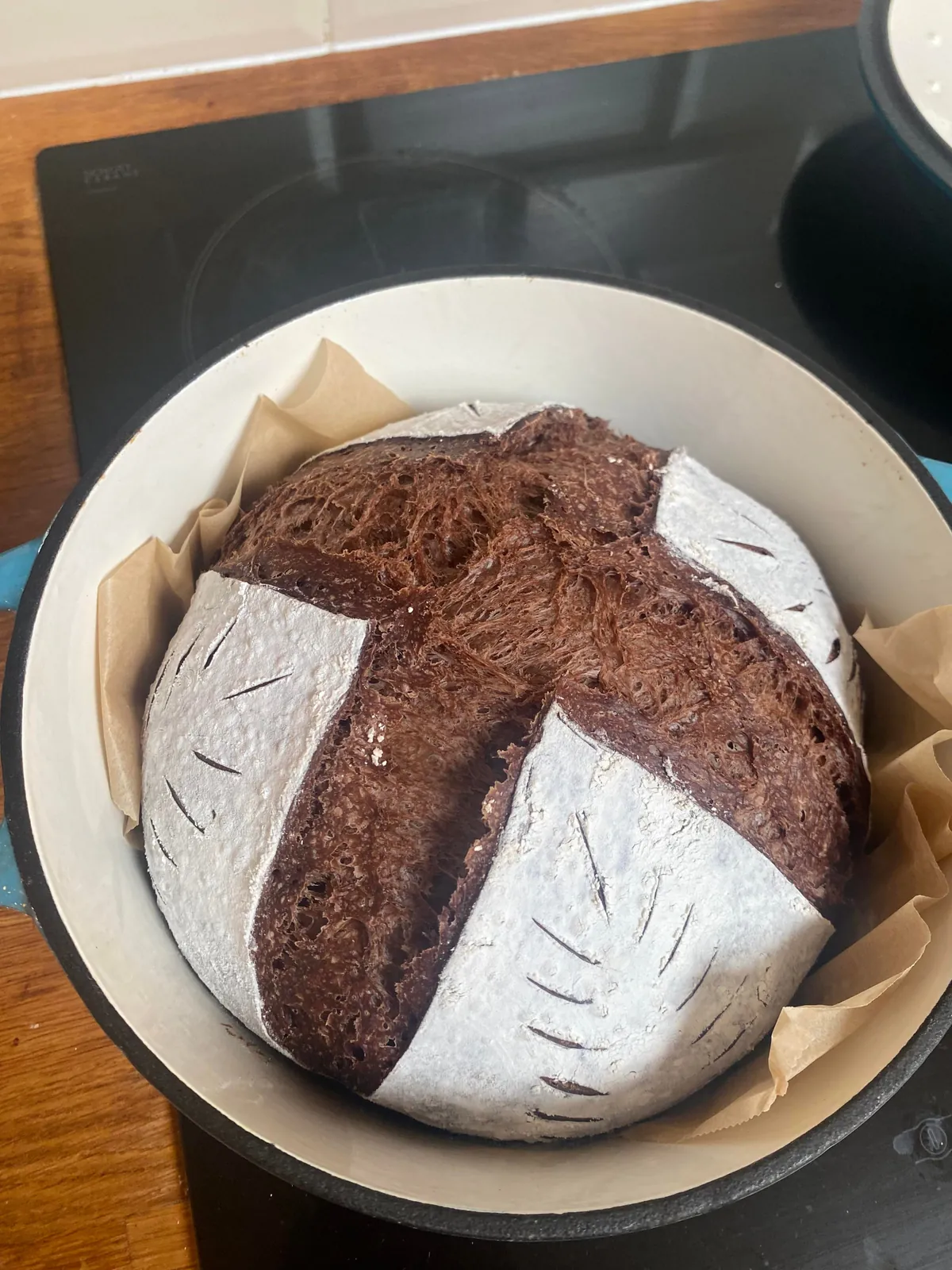 [homemade] chocolate sourdough w/ chocolate starter