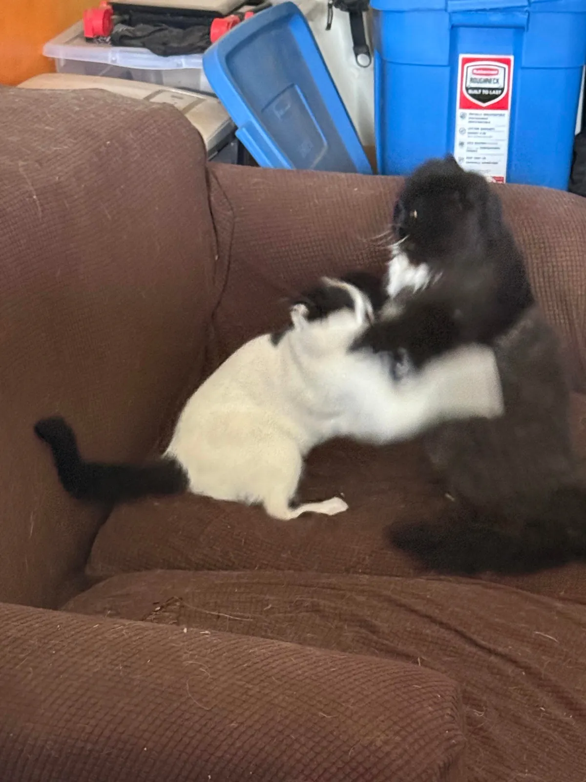 Pazuzu bothering Murphy when he was just trying to rest