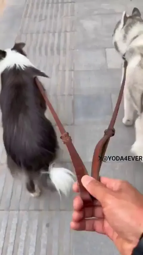 Don't ever do that again