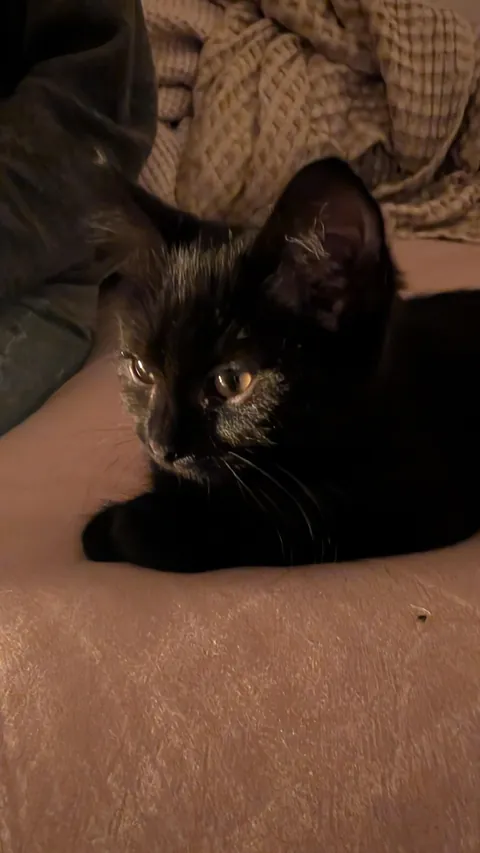 Got this cutie over the weekend. Having a hard time settling on a name.