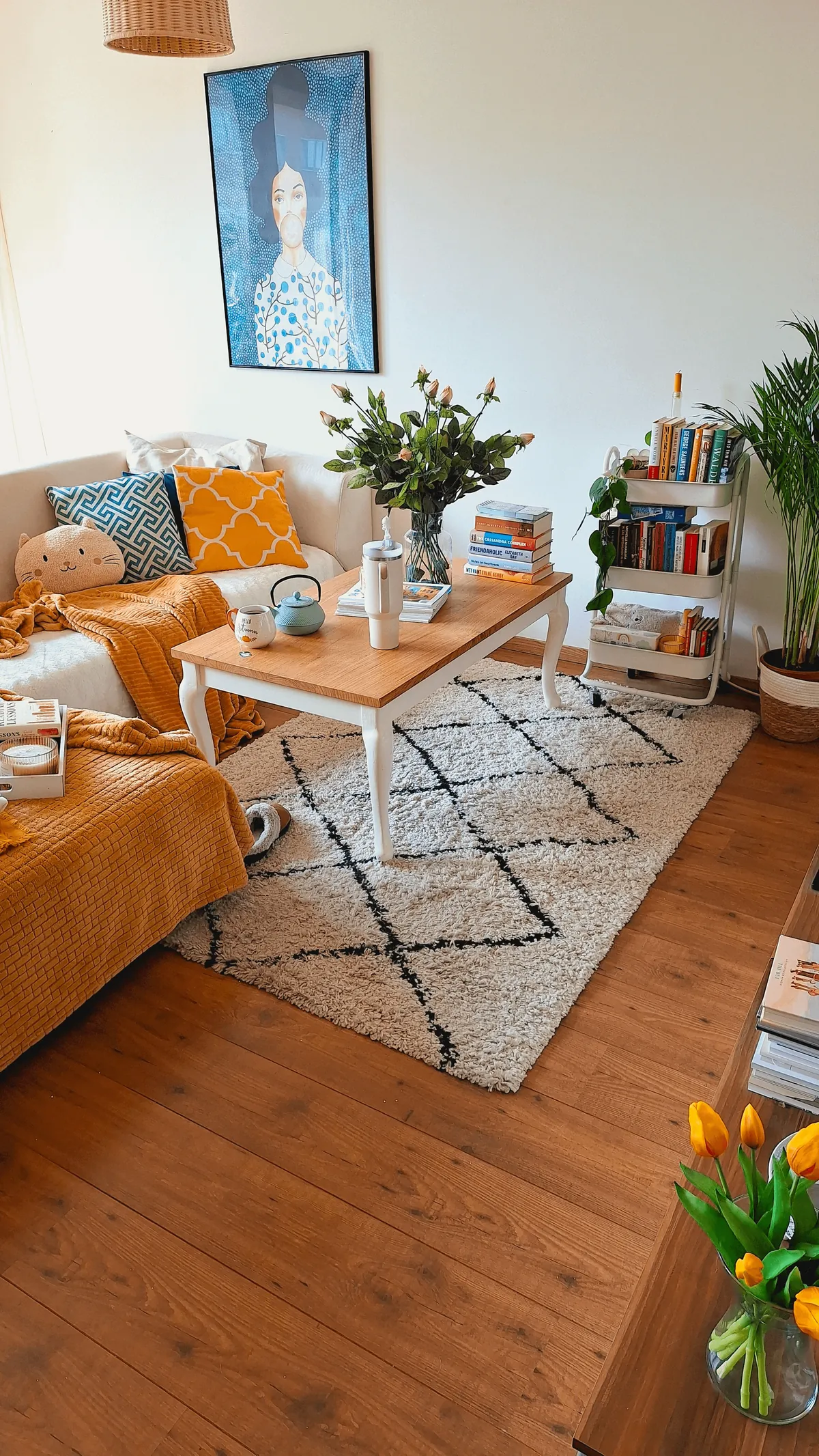 My cozy apartment in Amsterdam