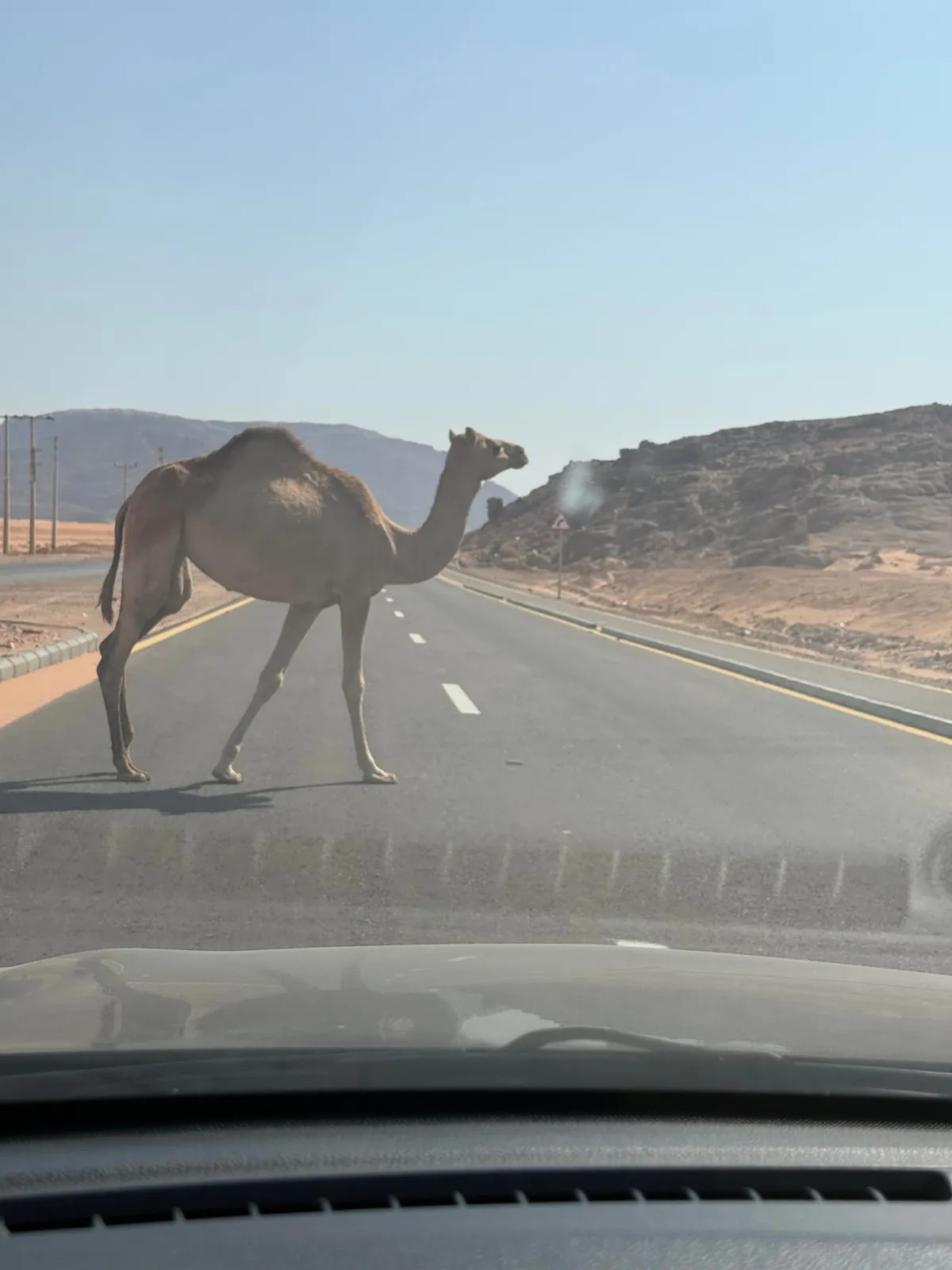 2 week in Jordan 🇯🇴