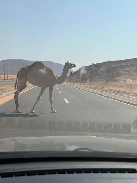 2 week in Jordan 🇯🇴