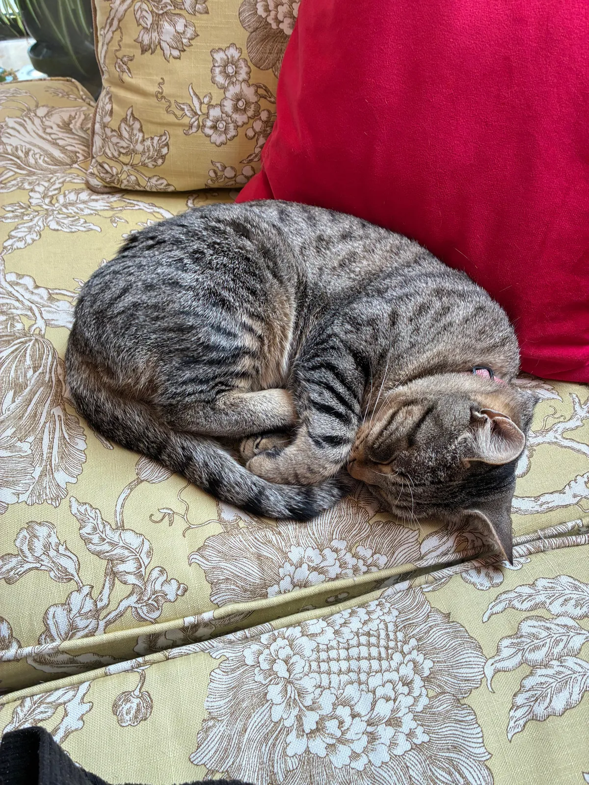 Best hotel concierge ever