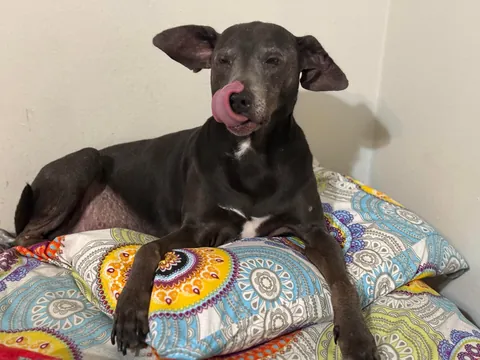 My momma says that I’m the babiest of all the baby boys.