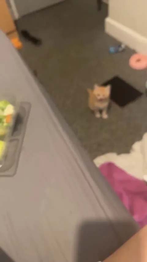 Why won’t she stop