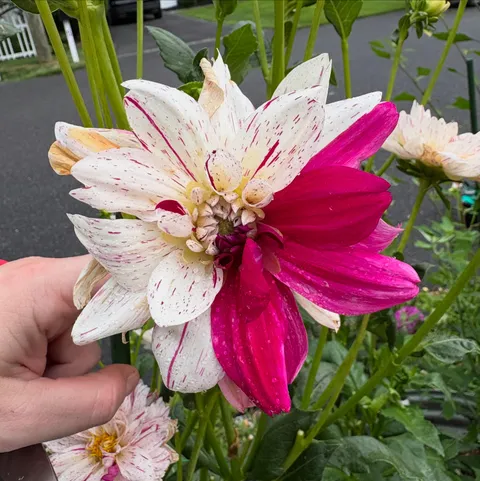 What a Beautiful Mistake