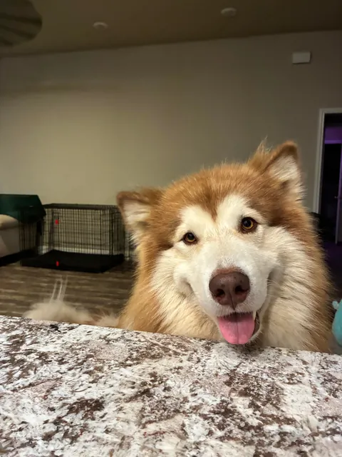 Can I help you, sir