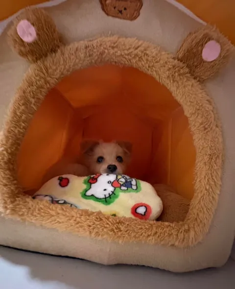 Mom, can I eat grass?🥰