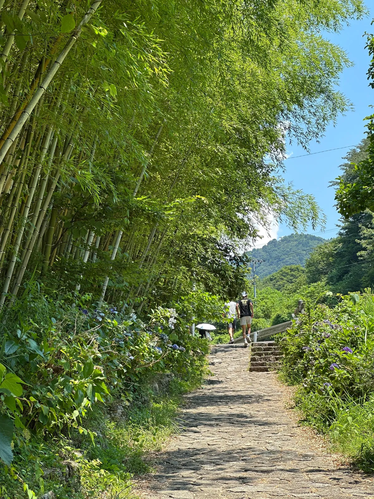 Japan: Nakasendo Trail between Magome and Tsumago
