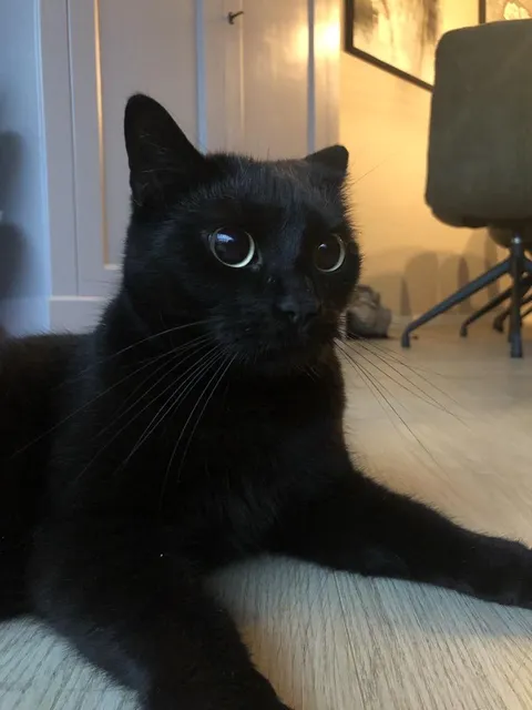 She looks so pretty here