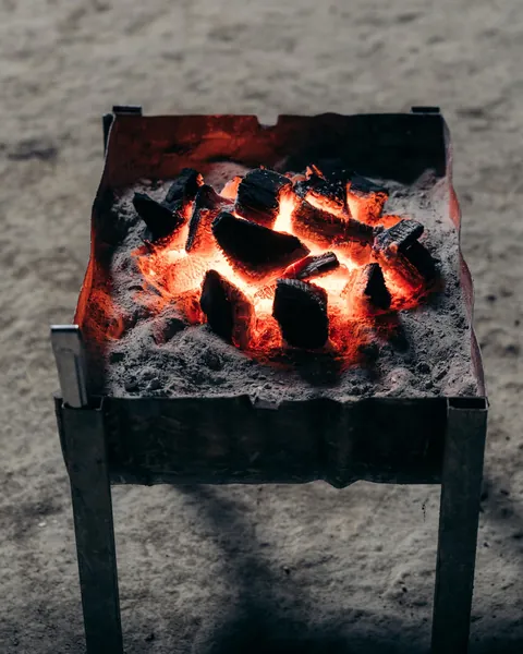Hang Son Doong - The Largest Cave on Earth