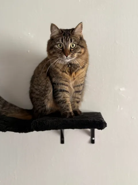 SAY HAPPY BIRTHDAY PLEASE