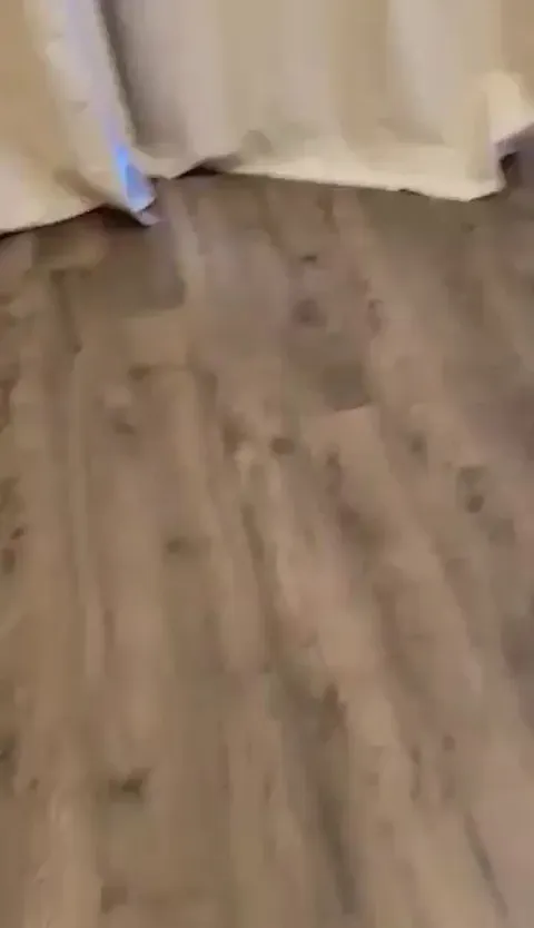 Our Calico any time we unlock the sliding door to the deck