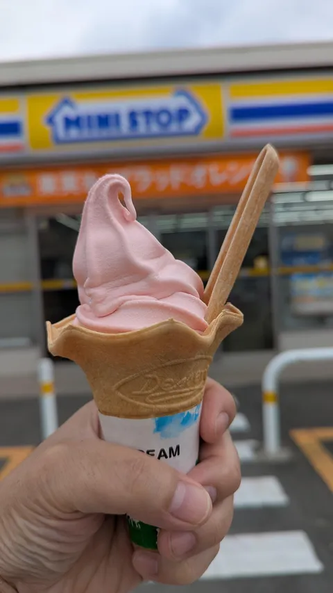My ice cream cone came with an edible spoon.