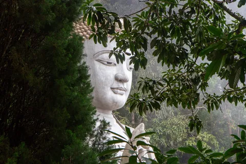 Two Weeks in Malaysia