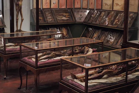 Our trip to Florence last week