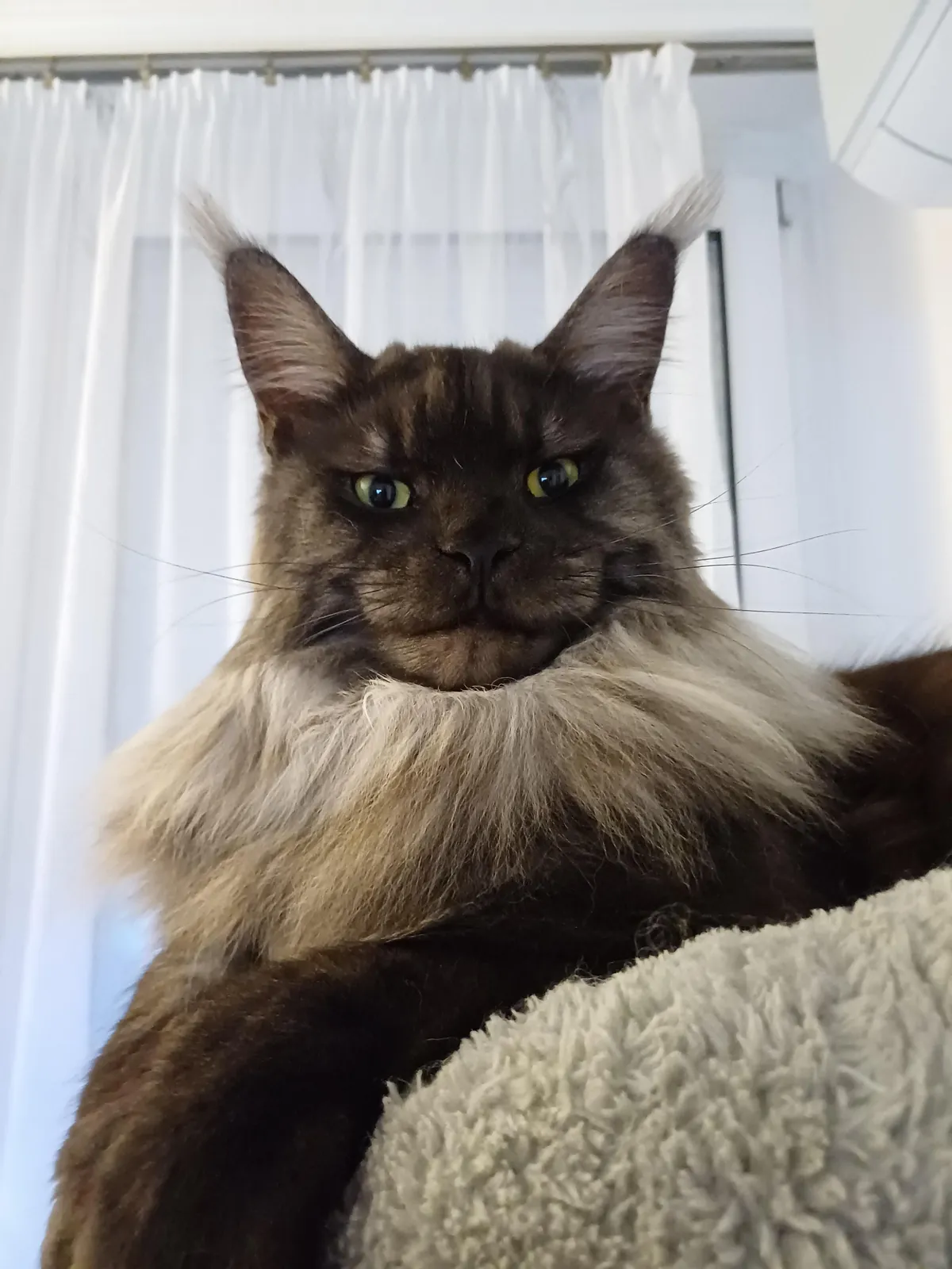 Hi reddit, it's Théoden. Did not see you for a long time