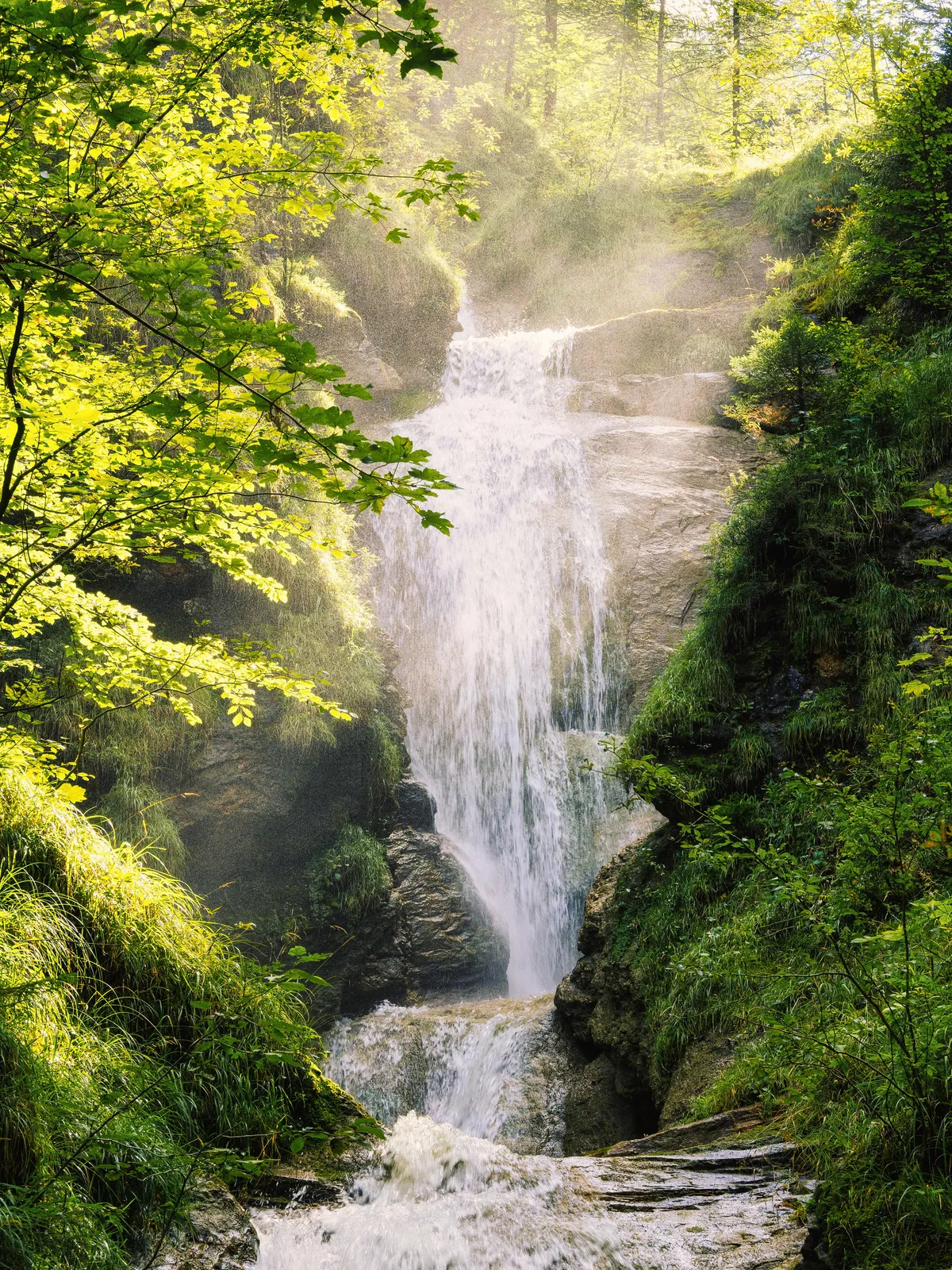 Morning mood on a late summer hike along a waterfall in Bavaria, Germany [OC] [3450x4600]