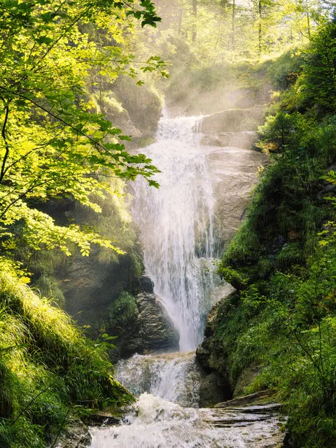 Morning mood on a late summer hike along a waterfall in Bavaria, Germany [OC] [3450x4600]