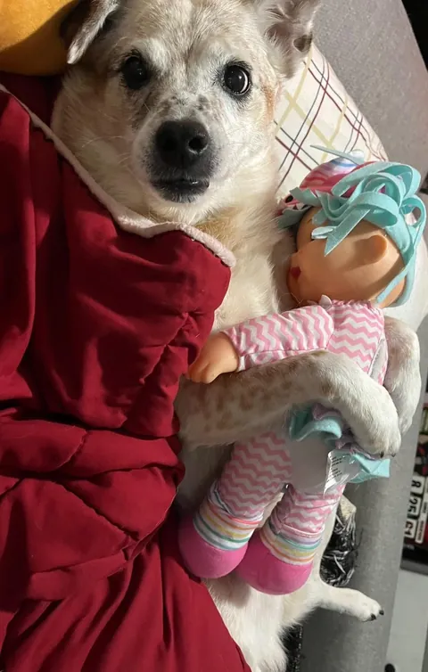 More pictures of Chief being unapologetically himself