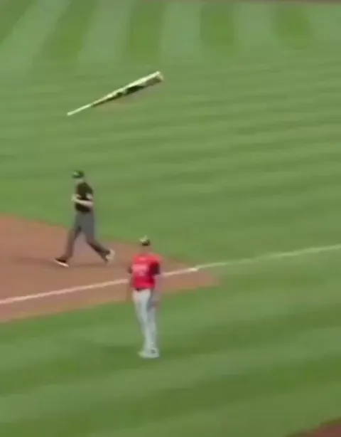 Dad blocks a broken bat