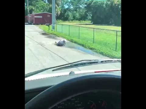 Man helps out elderly lady who fell into a big pothole/puddle