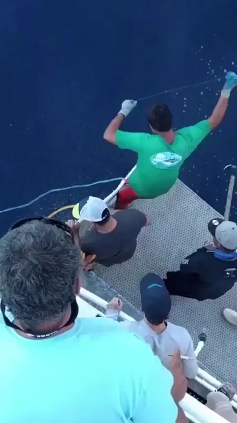 🔥Great White stealing a catch🔥