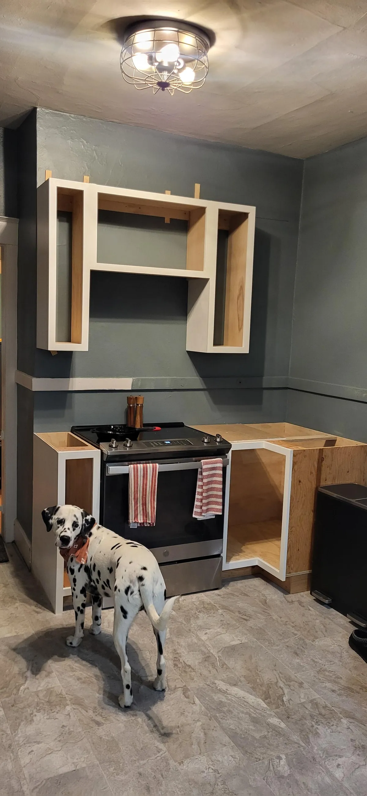 First time making kitchen cabinets. I did the entire kitchen myself for less than half of our original budget. 