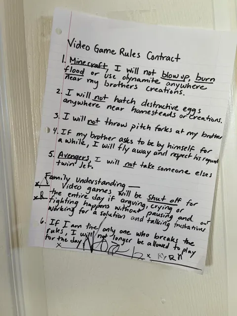 My nephews recently got their first console. I noticed this new decor next to their tv today…