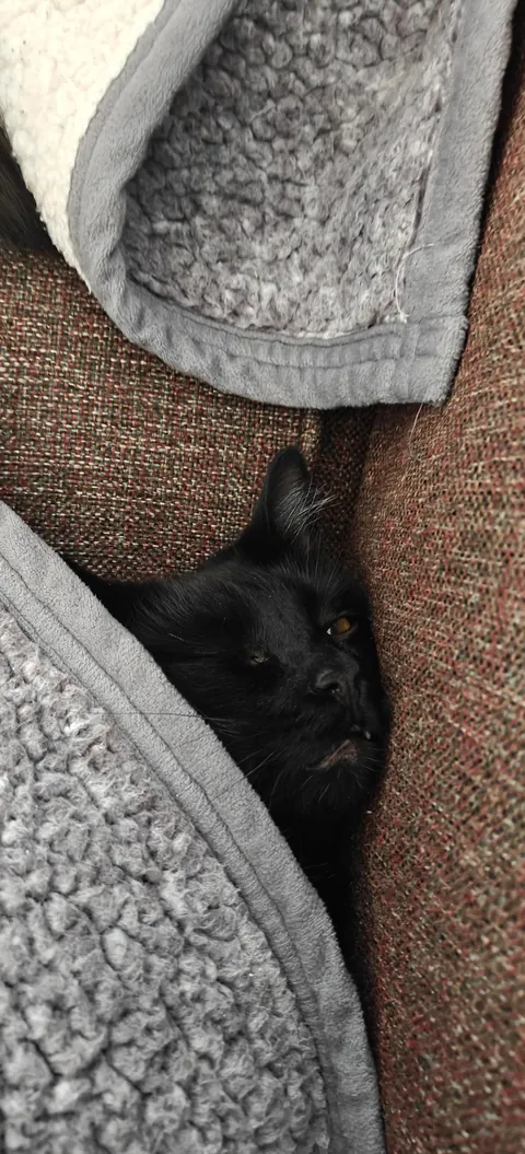 She just entered my life 🖤